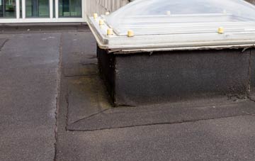 disadvantages of Esprick flat roofs