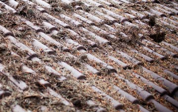 Esprick roof cleaning companies